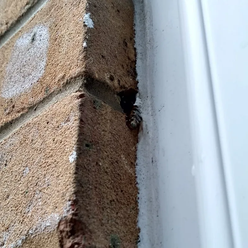 Ryan Bromham window fitting